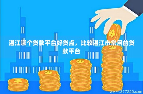 湛江哪个贷款平台好贷点，比较湛江市常用的贷款平台